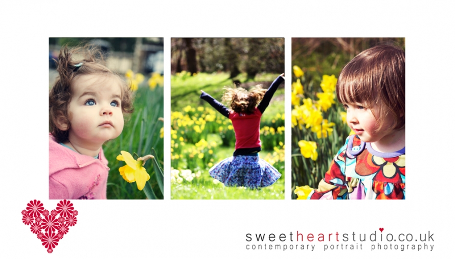 spring mini photo session in the daffodils