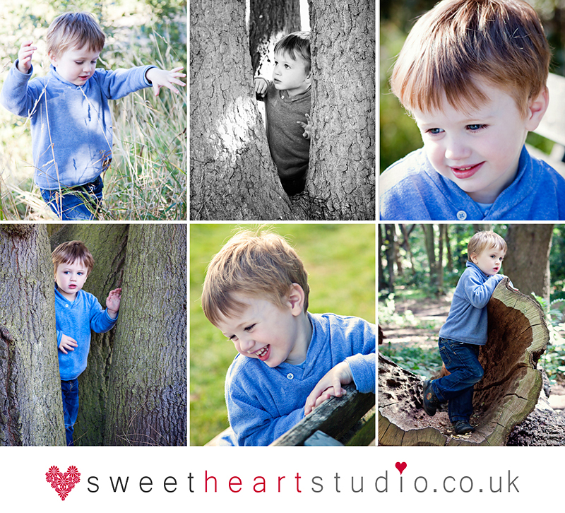 family portrait session on Wimbledon Common