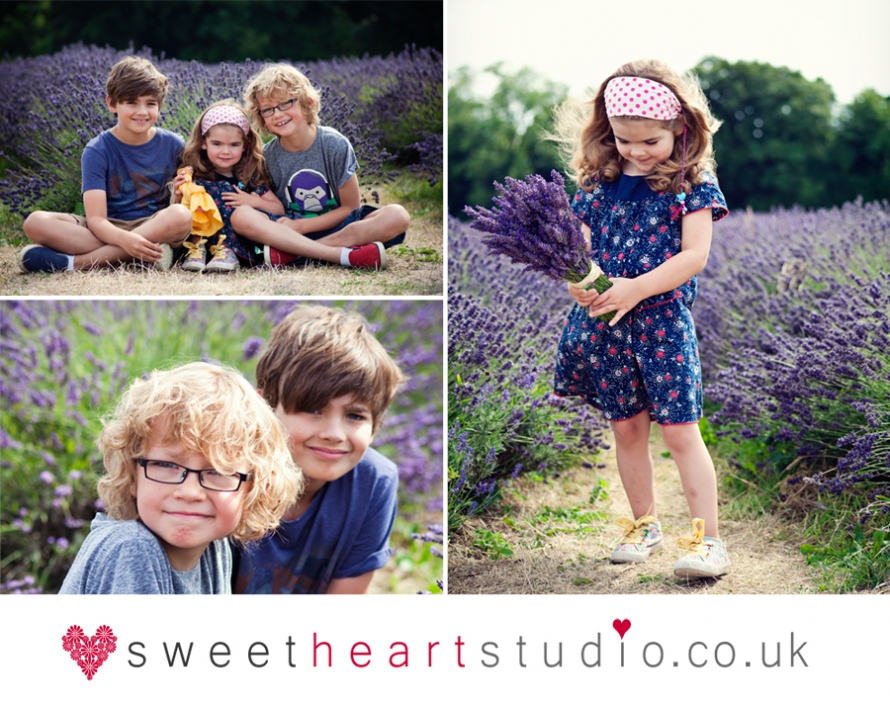 Mayfield lavender photo shoot