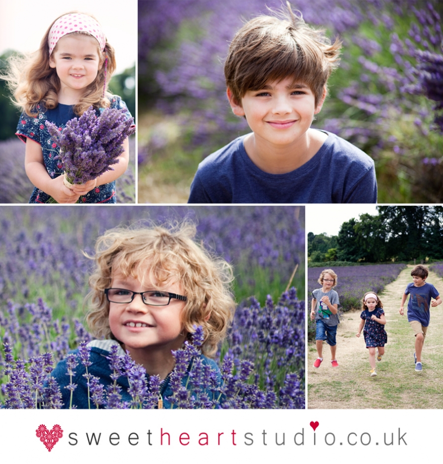 mini photo session in the lavender fields at Banstead