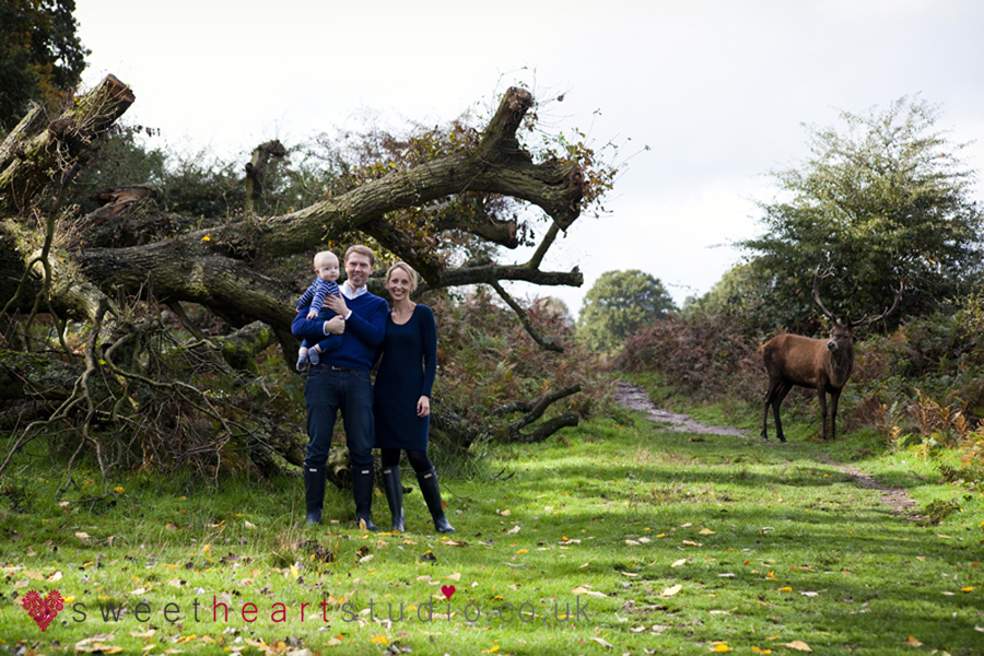 family photo shoot in Richmond Park